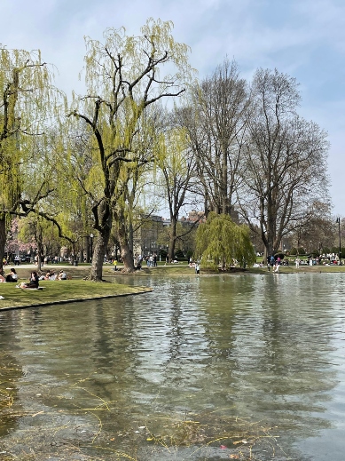 Boston Common and Public Garden
