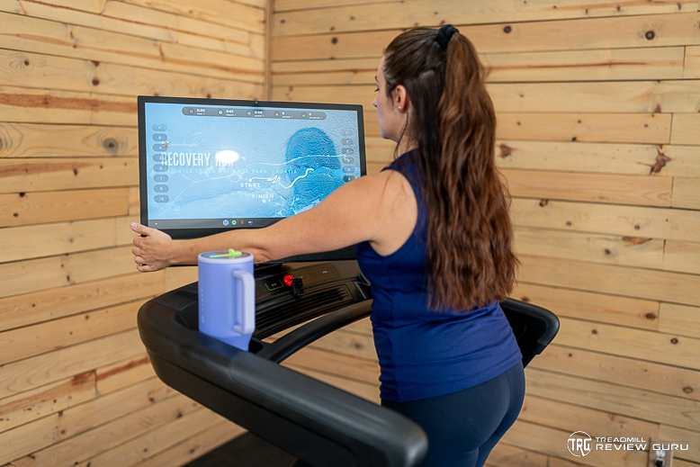 NordicTrack 2450 Rotating Screen