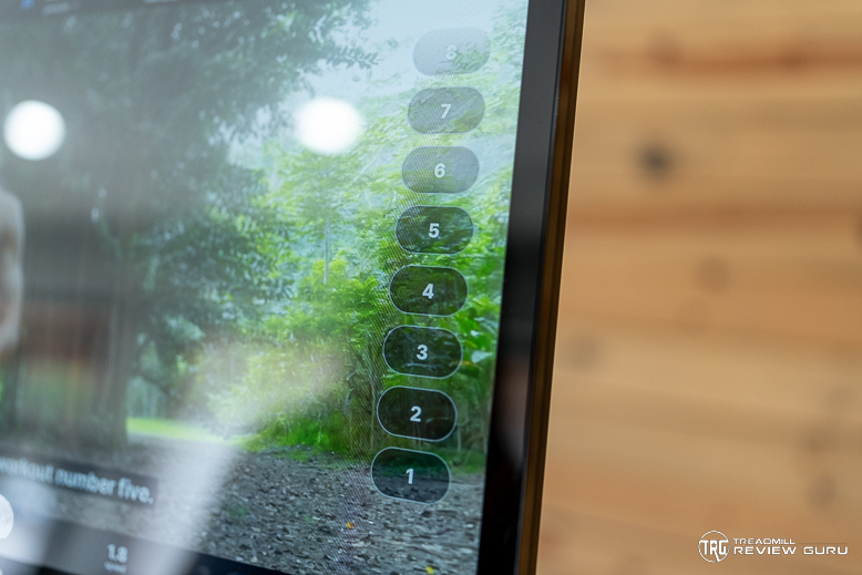 NordicTrack 2450 Speed Buttons