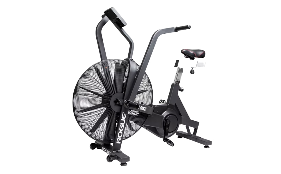 Rogue Echo Air Bike