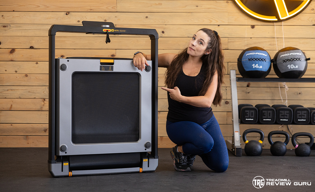 WalkingPad Treadmill Reviews